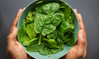 5 đối tượng tránh ăn rau mùng tơi, ăn vào hại đủ đường