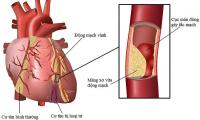 Chỉ 10 phút đạp xe mỗi ngày có thể tăng tuổi thọ và săn chắc cơ bắp