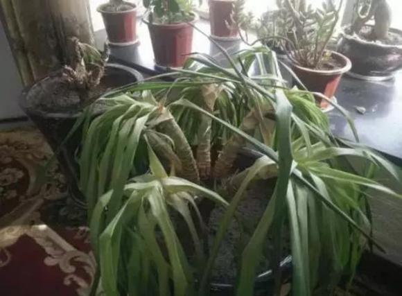 dọn nhà, đồ cũ, dọn nhà đón tết